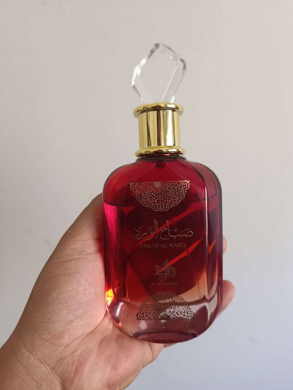 Variedades - Perfumes, Eletrodomésticos e Tênis — foto 14