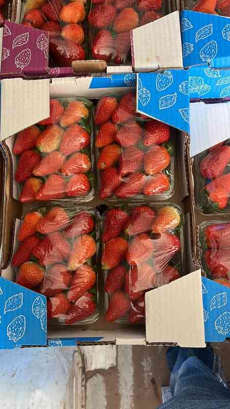 Distribuidora de Morango Fresquinho — foto 2